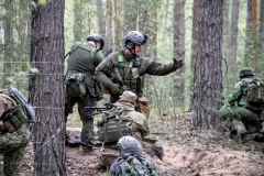 pc6cwq8pF5M